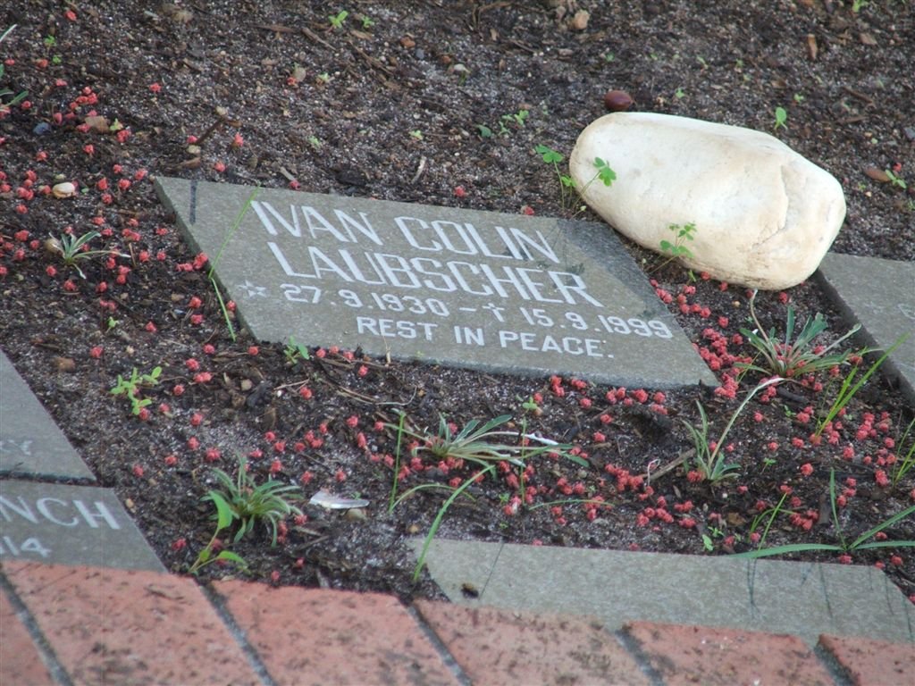 LAUBSCHER Ivan Colin 1930-1999