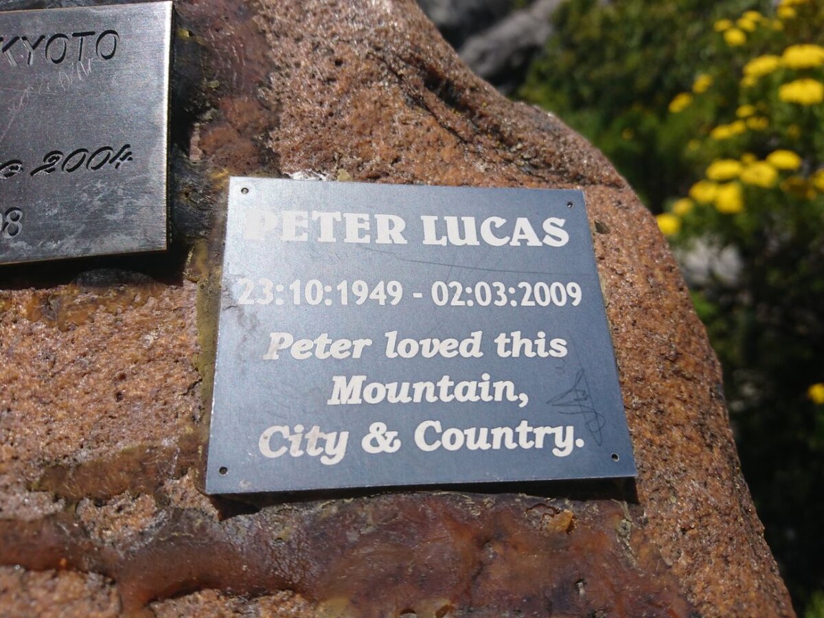 LUCAS Peter 1949-2009