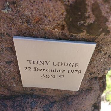 LODGE Tony -1979
