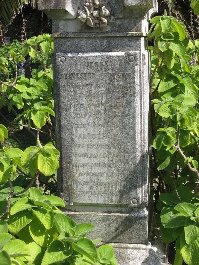 ANDREWS Jesse Sylvester &amp; Lucy