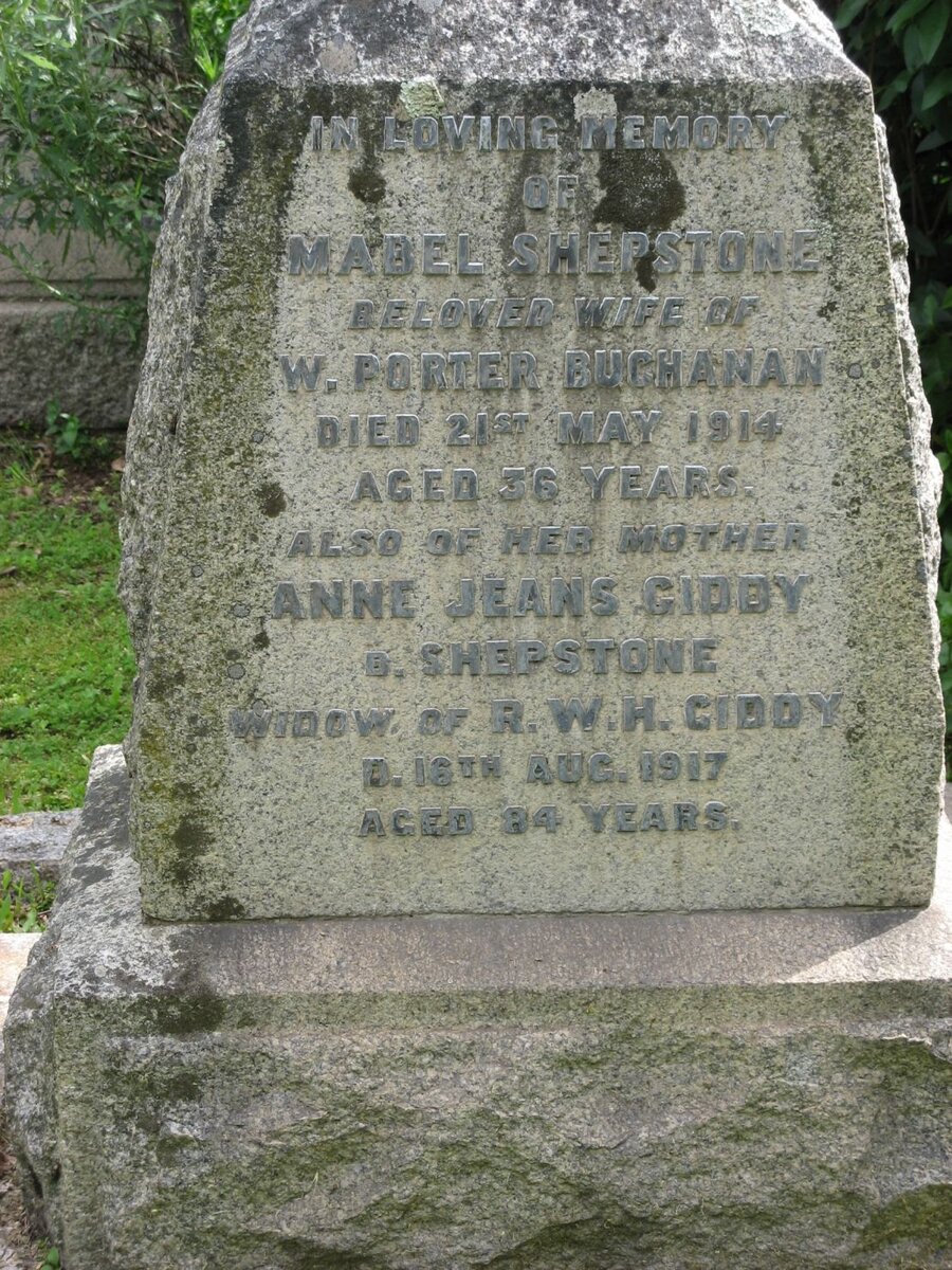 GIDDY Anne Jeans nee SHEPSTONE -1917 :: BUCHANAN Mabel Shepstone -1914