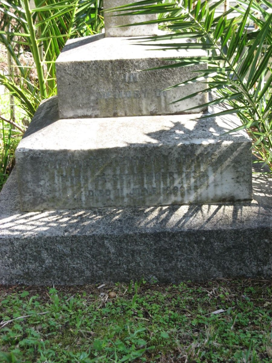 JONES Charles Tennant 18?2-1899