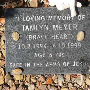 MEYER Tamlyn 1994-1999