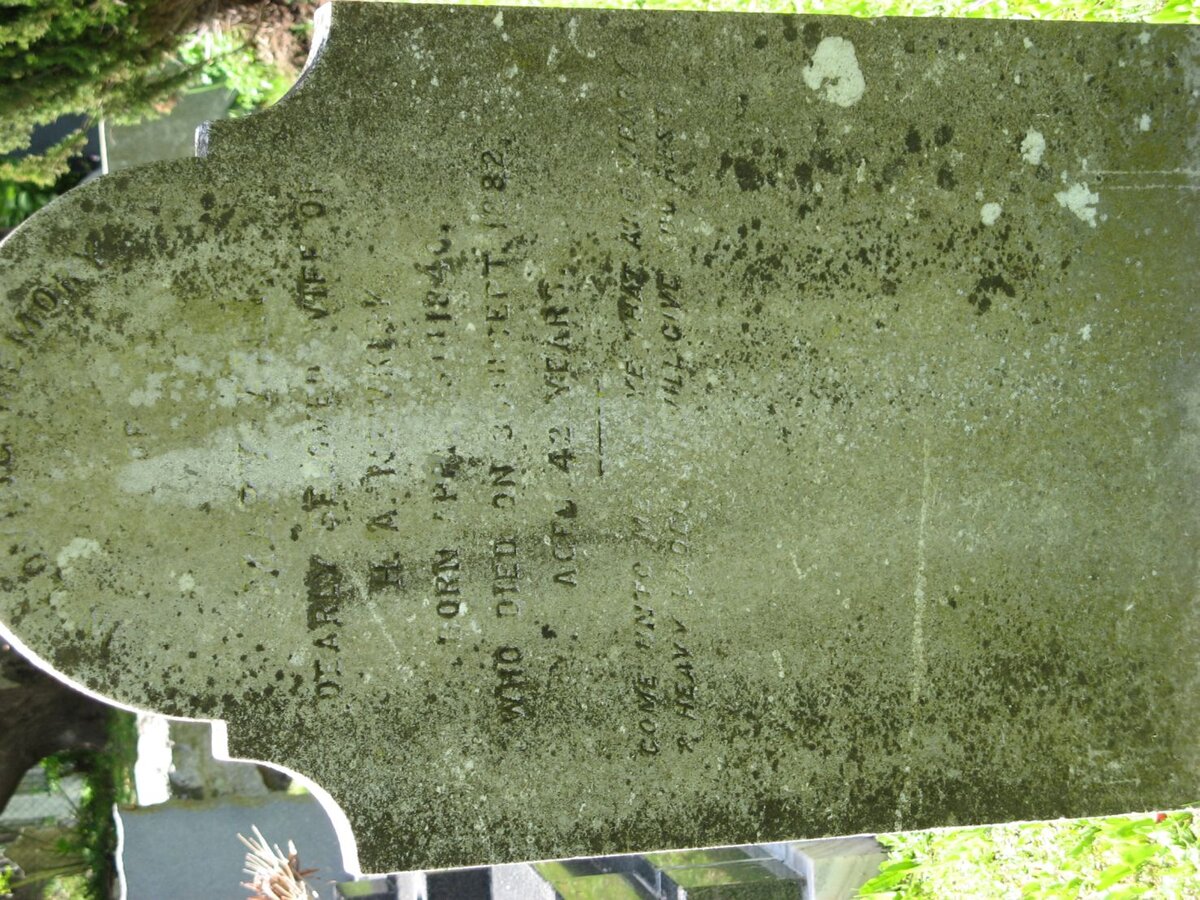 NEWKIRK Mary Ann 1840-1882