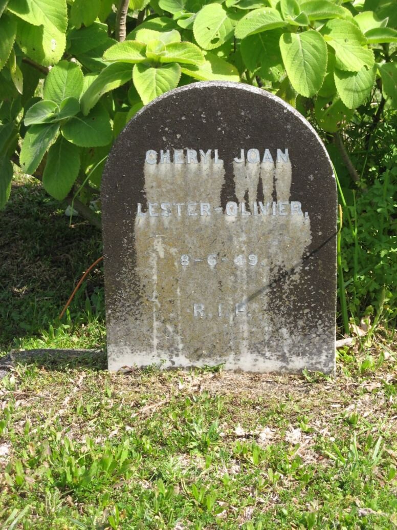 OLIVIER Cheryl Joan, LESTER  -1949