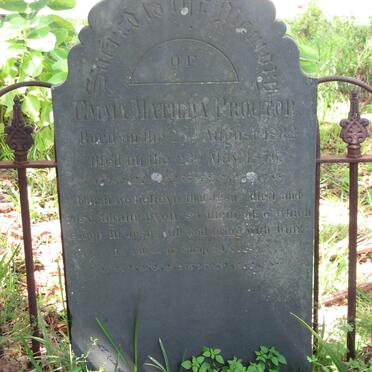 PROCTOR Emma Matilda 1832-1876