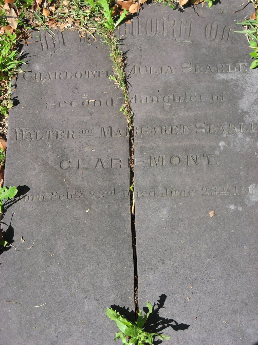 SEARLE Charlotte Julia -186?