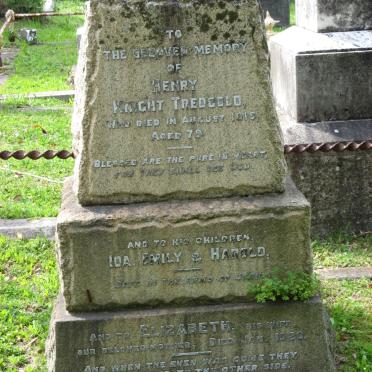 TREDGOLD Henry Knight -1915 &amp; Elizabeth -1920 :: TREDGOLD Ida :: TREDGOLD Emily :: TREDGOLD Harold