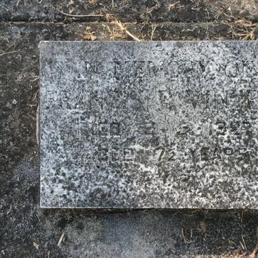 V - Vanne :: Surnames - V