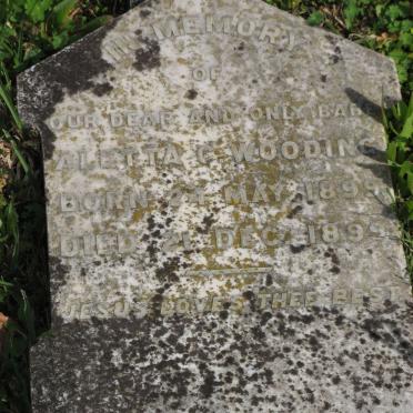 WOODING Aletta C. 1899-1899