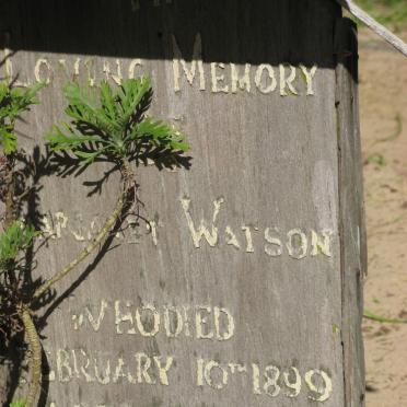 W - Surnames :: Vanne - W