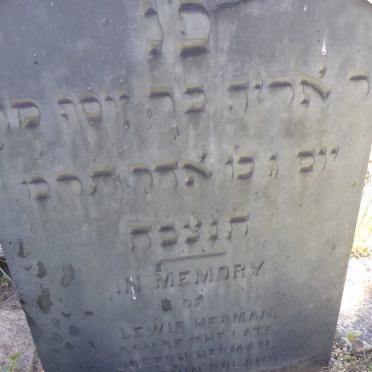 HERMAN Lewis -1880