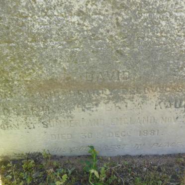 KAUFMAN David 1876-1881