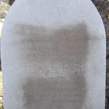 SCHWABE Bernhard 1851-1883