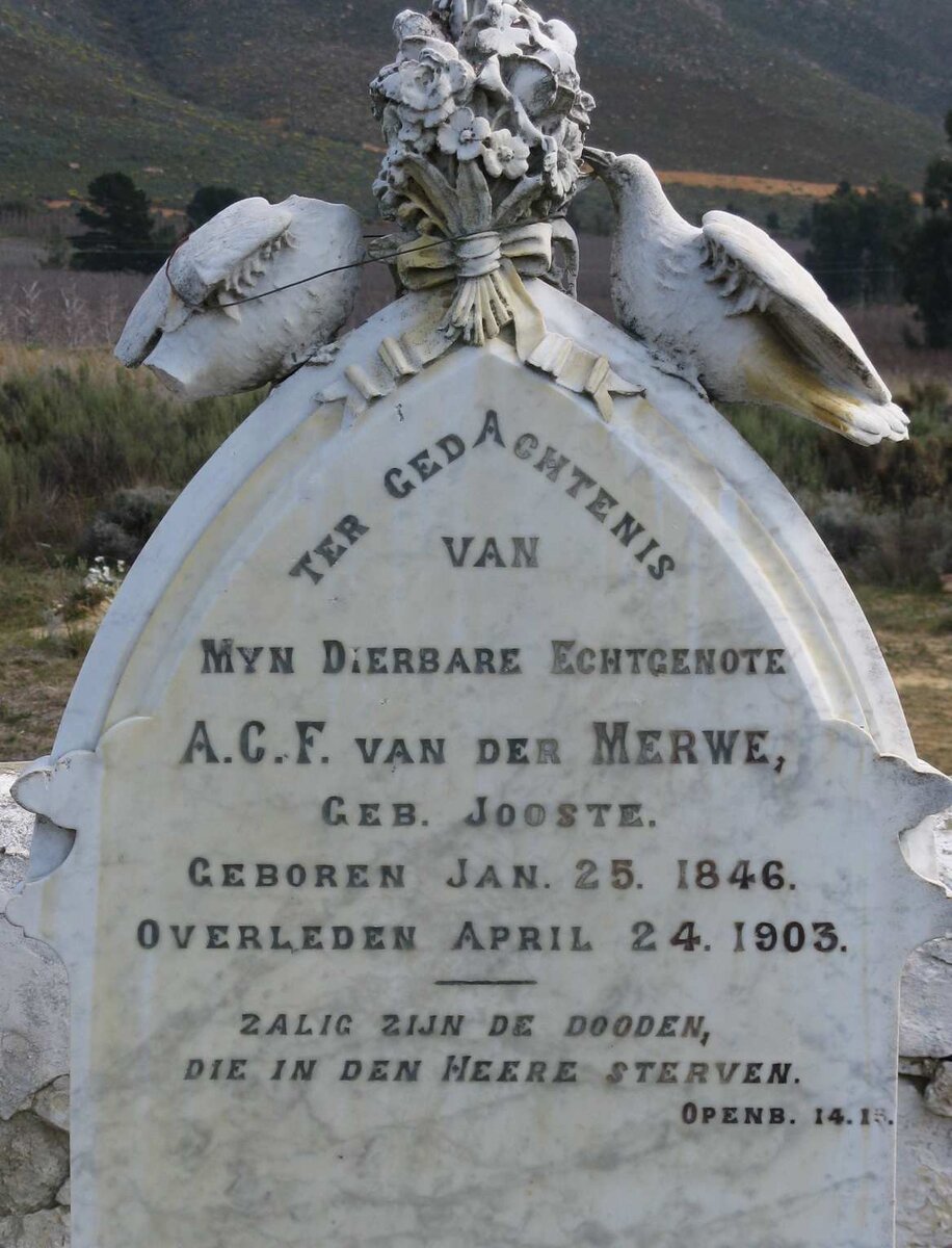 MERWE A.C.F., van der nee JOOSTE 1846-1903