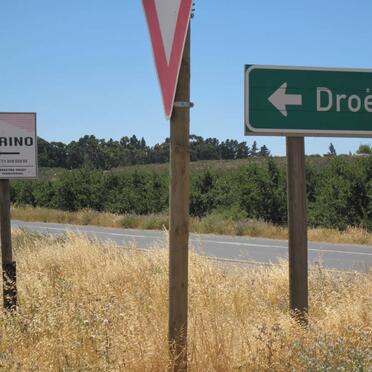 Western Cape, CERES district, Olckersia 332, farm cemetery