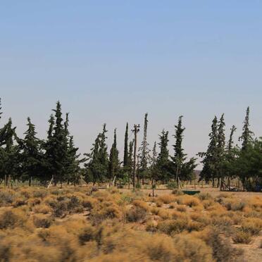 1. Oorsig oor Platfontein Begraafplaas