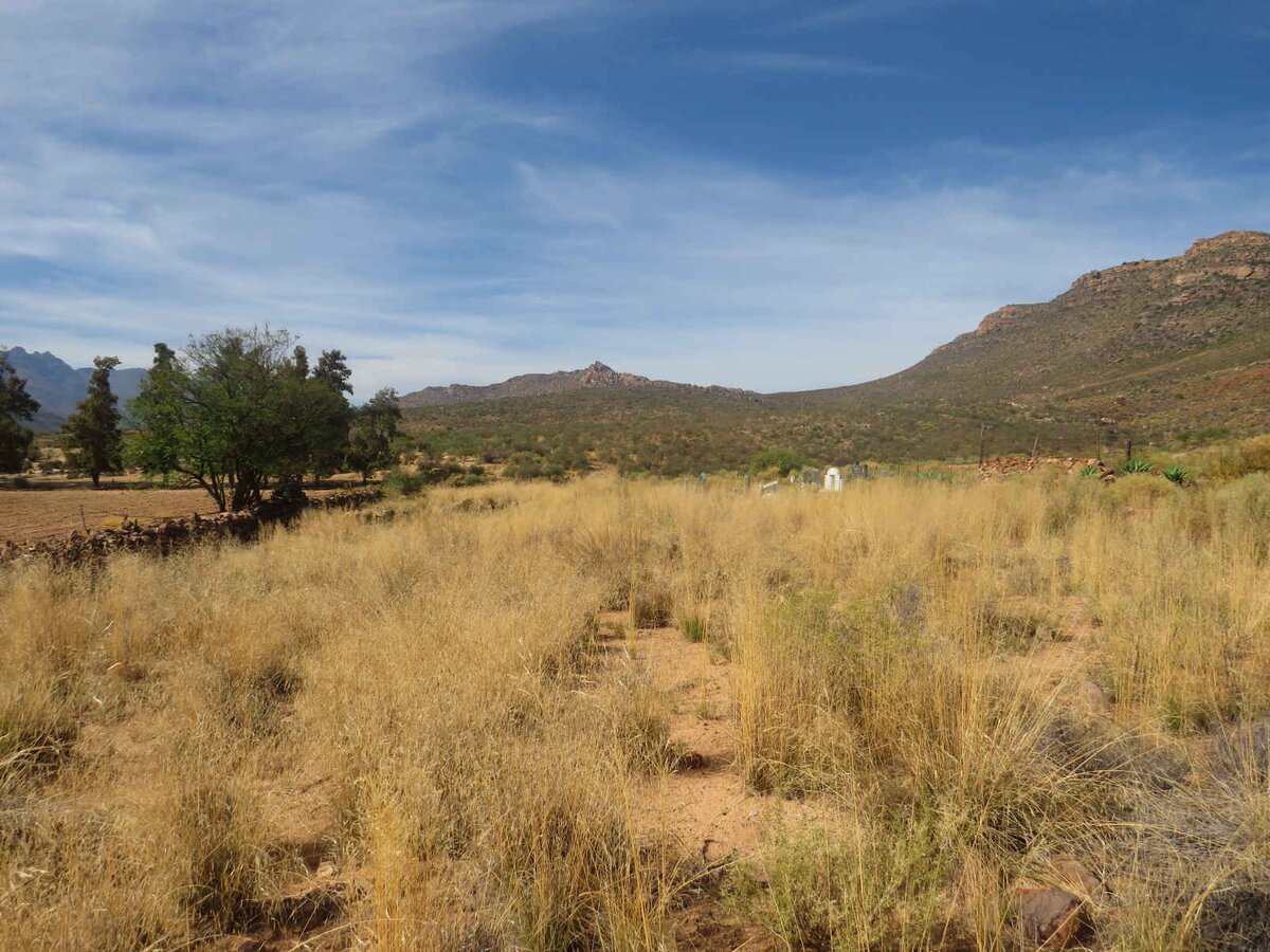 4. Overview / Oorsig