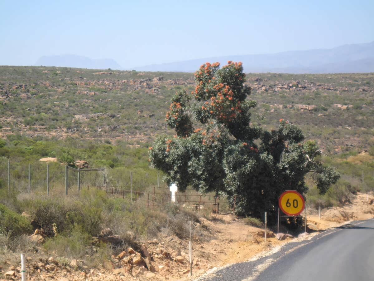 2. Road to the Englishman's Grave near Clanwillian