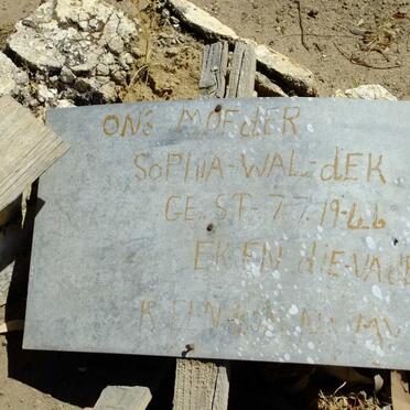 WALDEK Sophia -1946