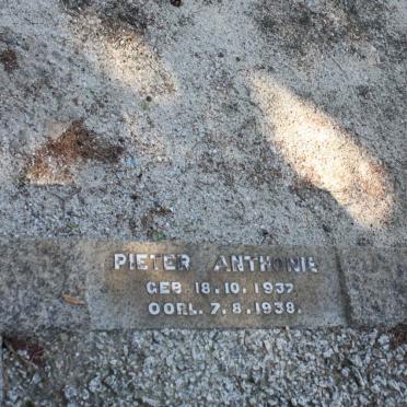 ? Pieter Anthonie 1937-1938