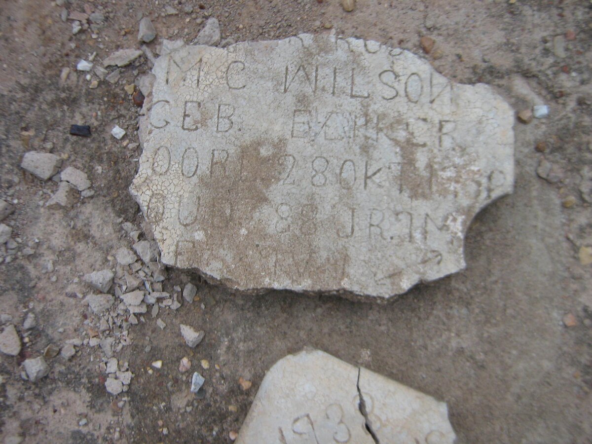 WILSON M. C. nee BEKKER -1938