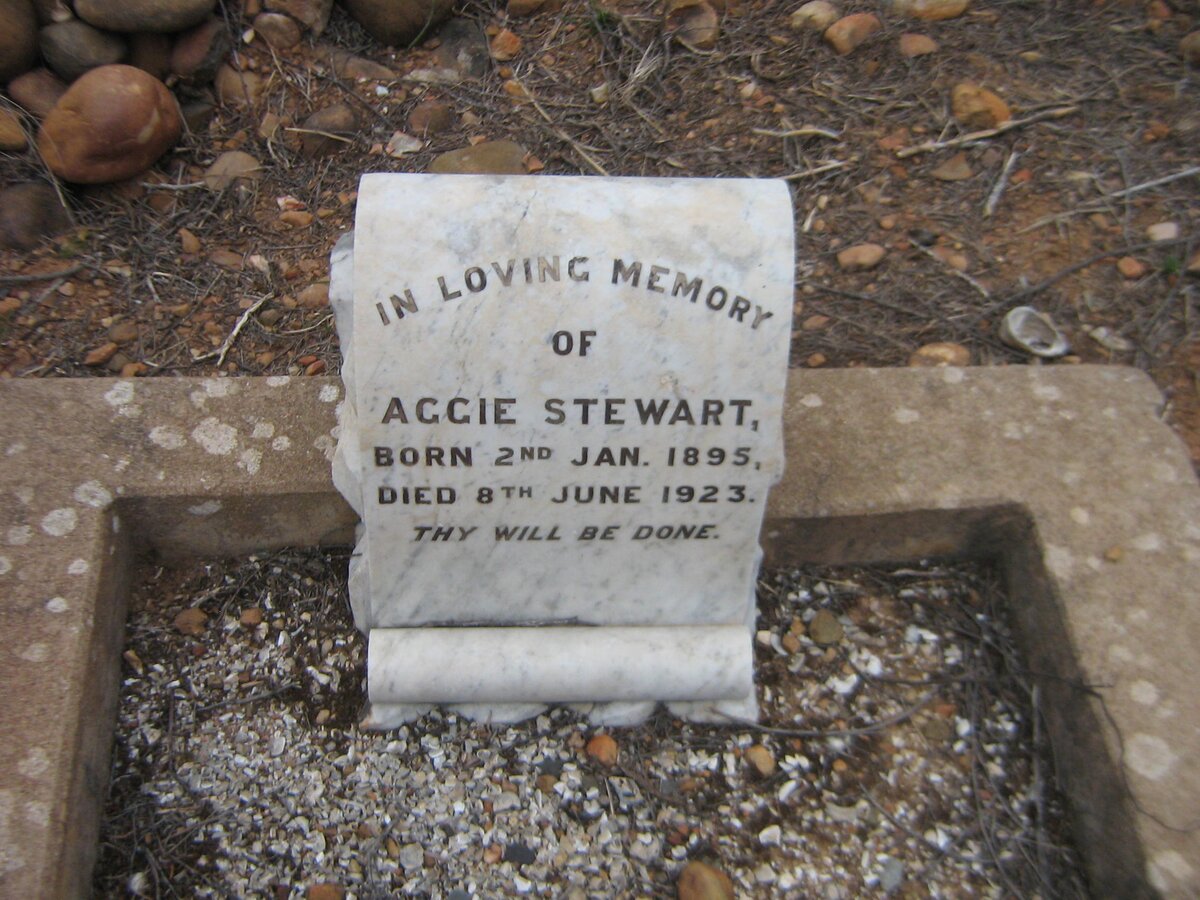 STEWARD Aggie 1895-1923
