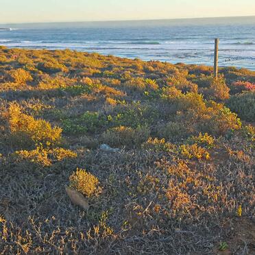 Western Cape, DORINGBAAI, Bruinpunt, State Land, cemetery