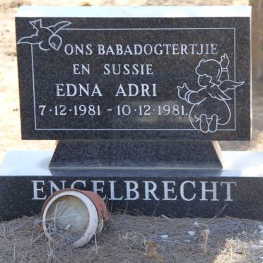 ENGELBRECHT Edna Adri 1981-1981