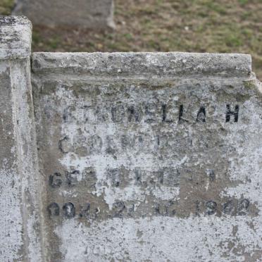 GROENEWALD Petronella H. -1942