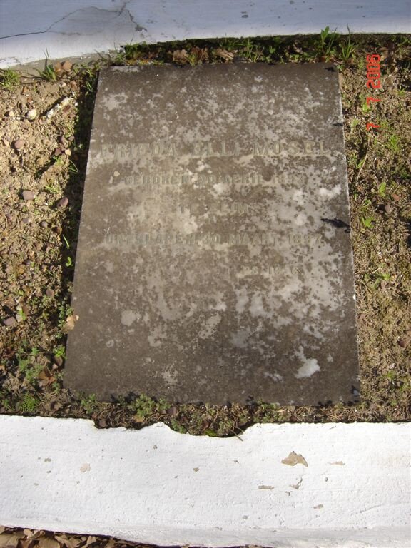 MOSEL Frieda Ella 1893-1979