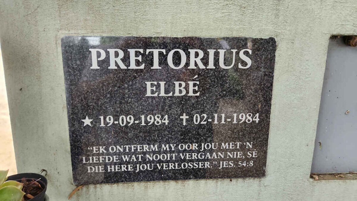 PRETORIUS Elbe 1984-1984