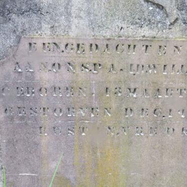 WILLEMSE ? 1861-1933