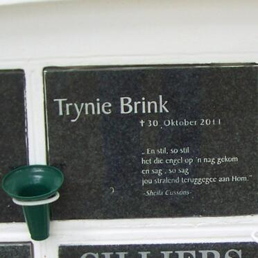 BRINK Trynie -2011