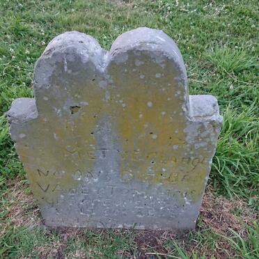 PETRUS Tom 1875-1951