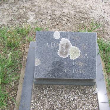 BOTHA Adam J.M. 1940-1940