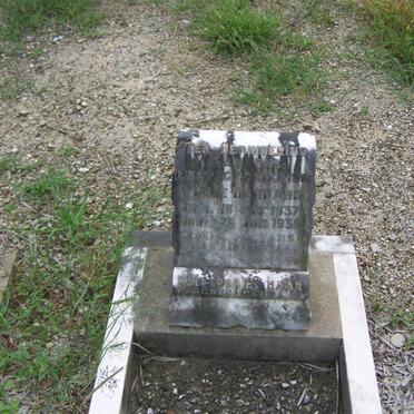 BARNARD ?ve 1937-1939