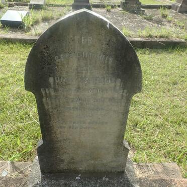 SWEMMER 1803-1895