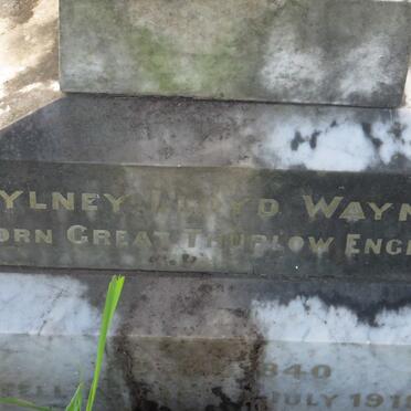 WAYMAN Tylney Lloyd 1840-1919