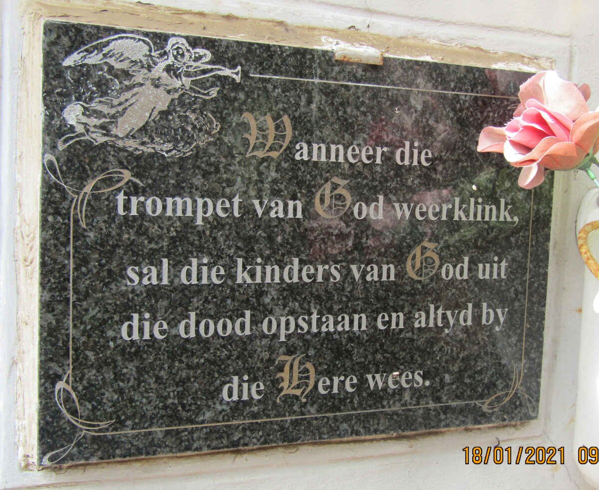 2. Overview / Oorsig