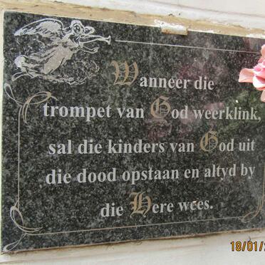 2. Overview / Oorsig