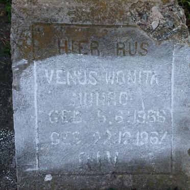 MUNRO Venus Wonita 1966-1967