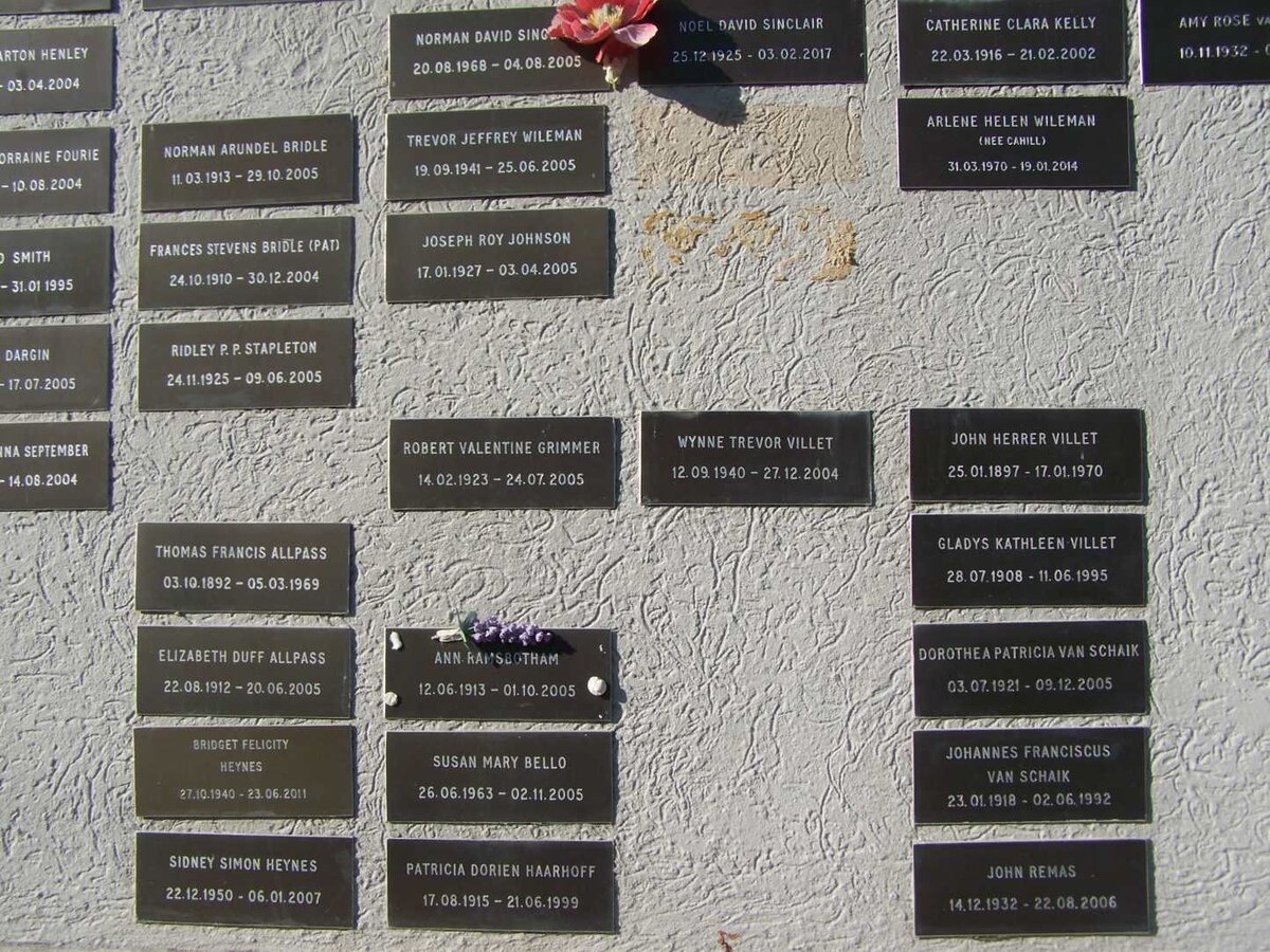Plaques 6