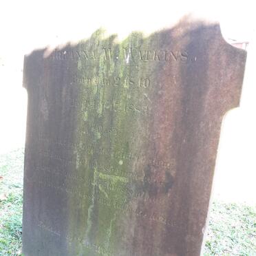 WATKINS Johanna W. 1840-1883