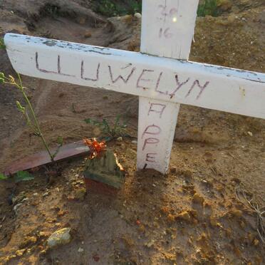 APPEL Lluwelyn ?-2016