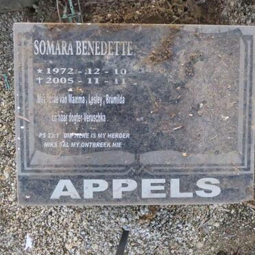 APPELS Somara Benedette 1972-2005