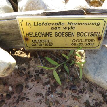 BOOYSEN Helechine Soesen 1967-2014