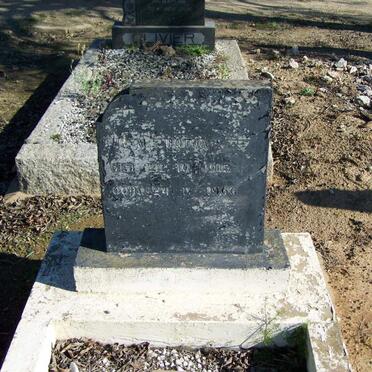 BOTHA H.M. 1915-1966