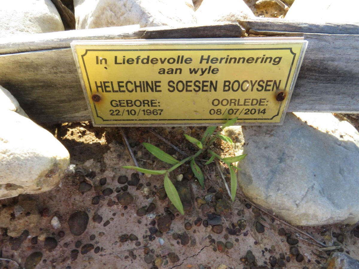 BOOYSEN Helechine Soesen 1967-2014