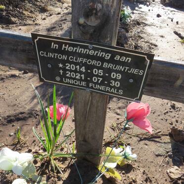 BRUINTJIES Clinton Clifford 2014-2021